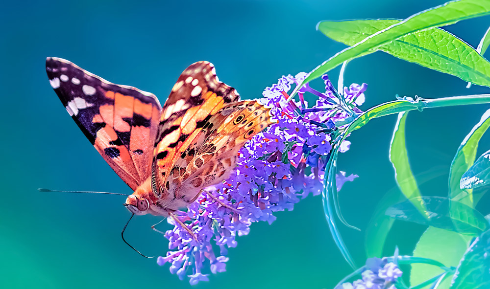 Ενδεικτικό άρθρο