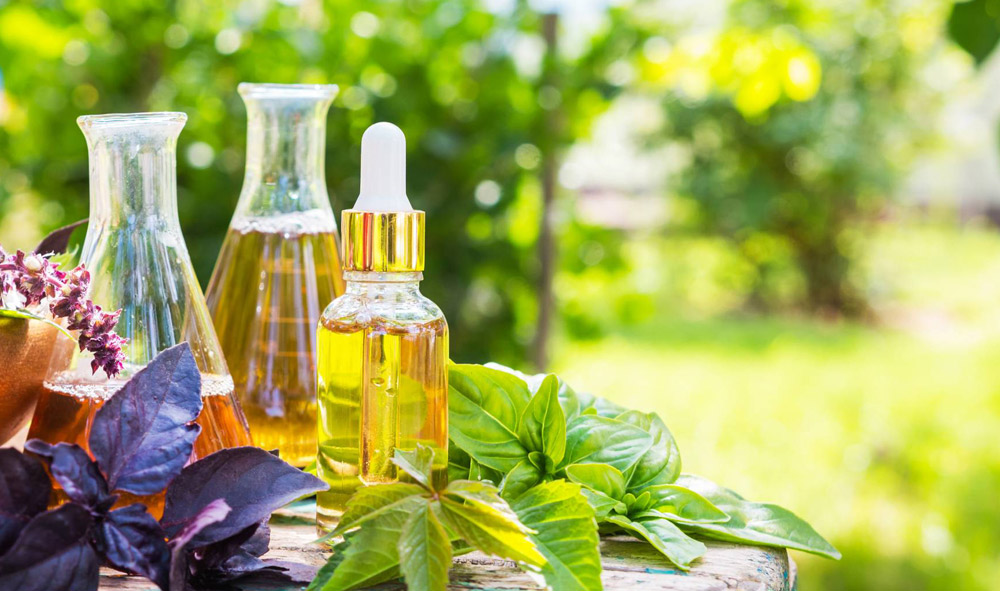 Ενδεικτικό άρθρο