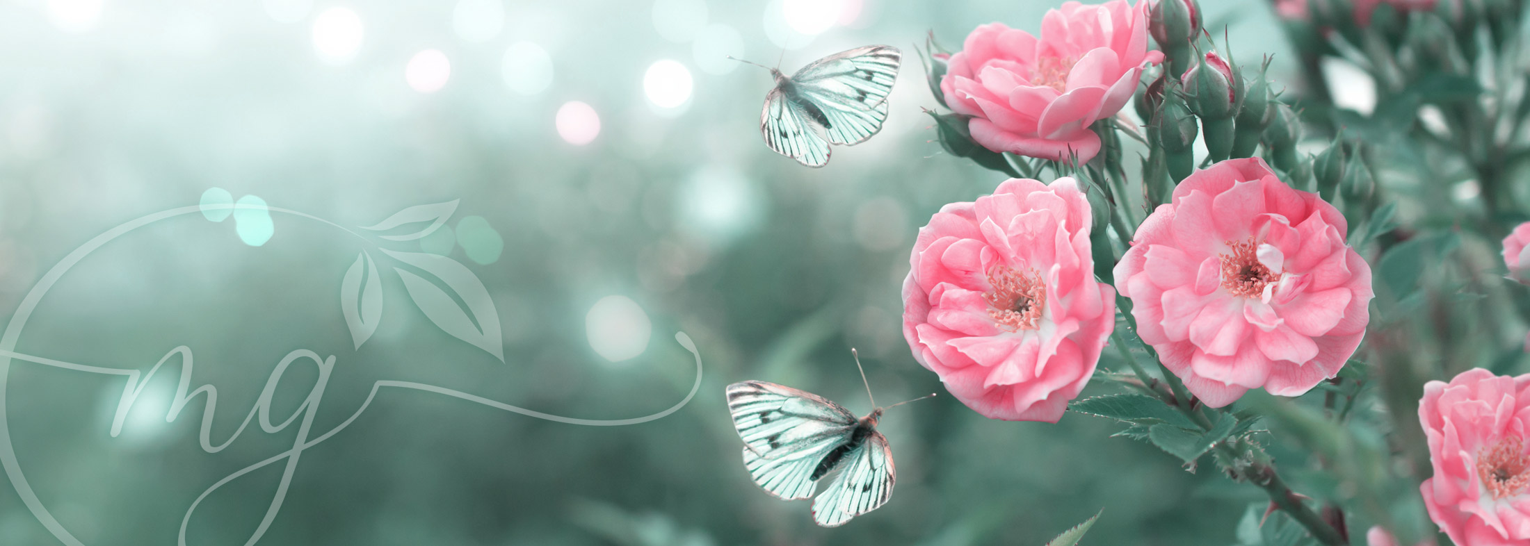 ΝΕΕΣ ΠΡΟΣΦΟΡΕΣ